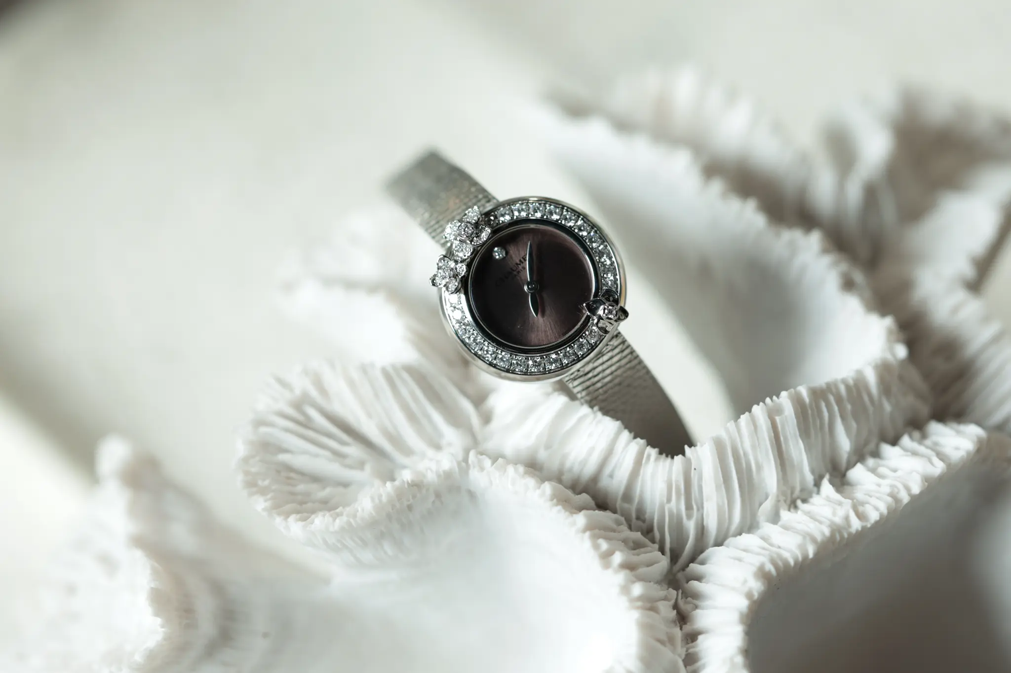 الأسئلة aaaaaa